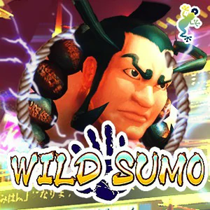 เกมสล็อต Wild Sumo